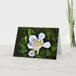 Gardenia, Karte