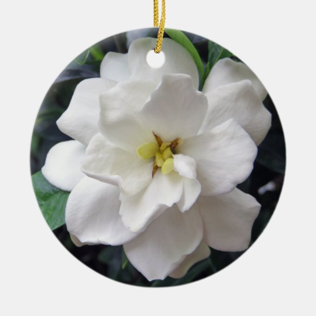 Gardenia Keramik Ornament (Vorne)