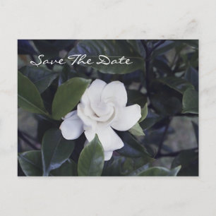 Gardenia Save the Date Postkarte