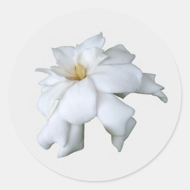 Gardenia Stickers (Vorderseite)
