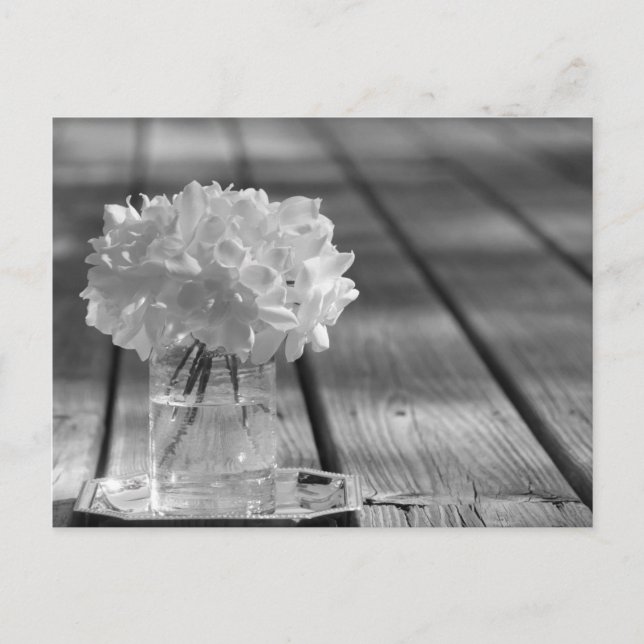 Gardenias Postkarte (Vorderseite)