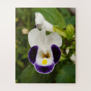 Gardenorchid-Blume, Blüte
