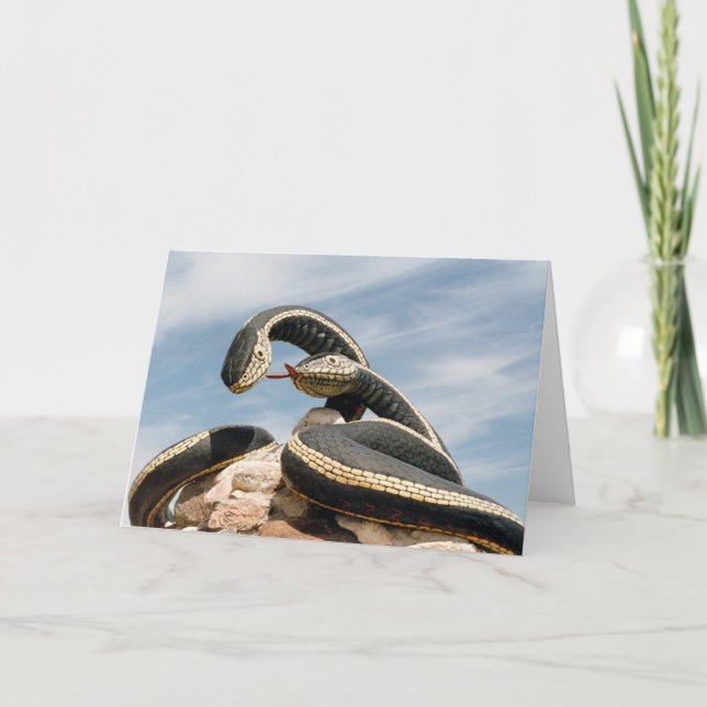 GARDER SNAKE KARTE (Vorderseite)