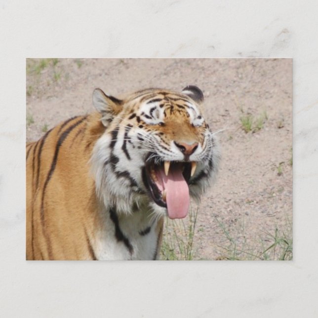 Gardez la carte postale de sourire (Devant)