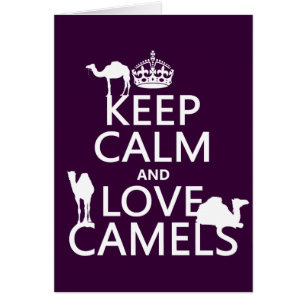 Gardez le calme et aimez les chameaux (toutes les