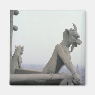Gargoyle aus der Balustrade der Grande Magnet