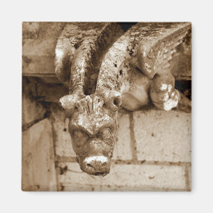Gargoyle Magnet