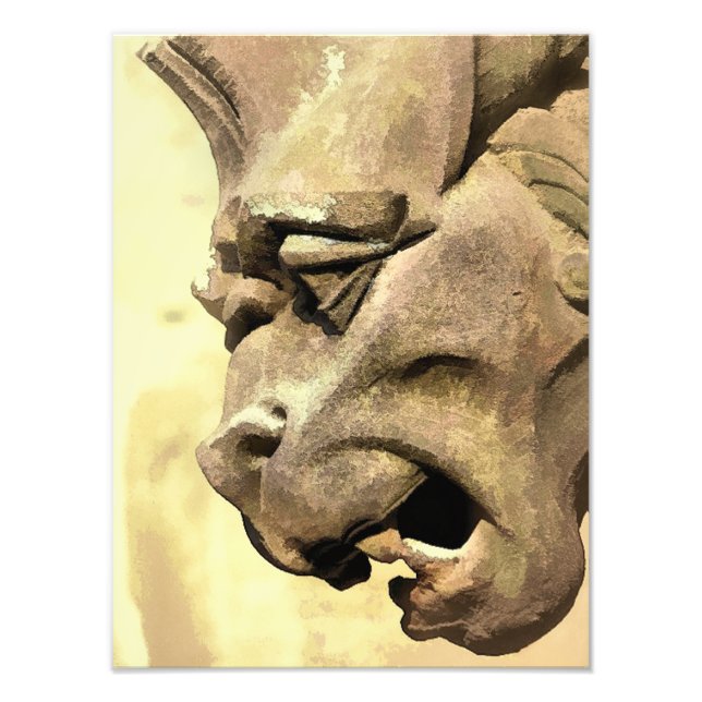 GARGOYLES FOTODRUCK (Vorne)
