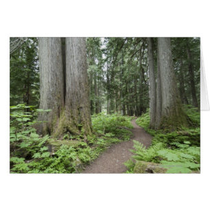 Garibaldi Provincial Park, British Columbia,