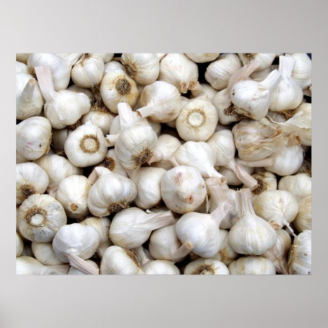 Garlic Poster (Vorne)