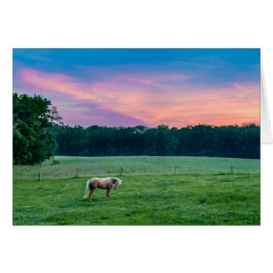 Garmin mit Sonnenuntergang