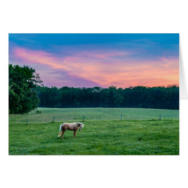 Garmin mit Sonnenuntergang (Vorderseite (Horizontal))