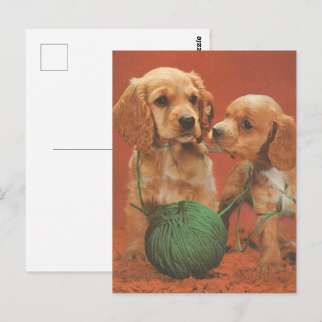 Garne und Zuneigung, Cocker-Spaniels bei Spielen Postkarte (Vorne/Hinten)