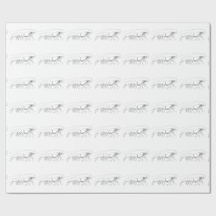 Garnele-Packpapier Geschenkpapier