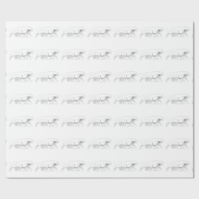 Garnele-Packpapier Geschenkpapier (Flach)