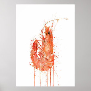 Garnele Poster