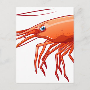 Garnele Postkarte