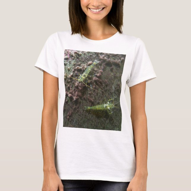 Garnelen - Frauenoberseite T-Shirt (Vorderseite)