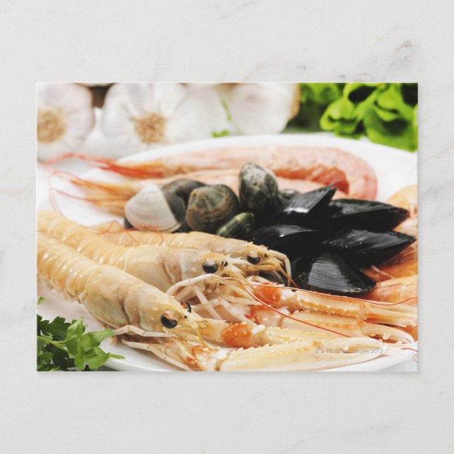 Garnelen und Muscheln Postkarte (Vorderseite)