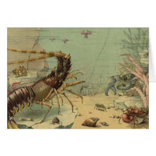 Garnelen, Unterwasser-Meeresleben, Vintage-Meeresl