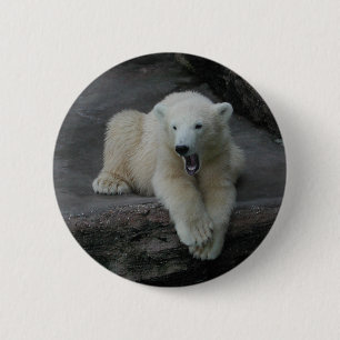 Garnelenbär Button