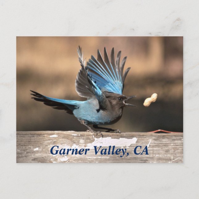 Garner Valley, CA Postcard Postkarte (Vorderseite)
