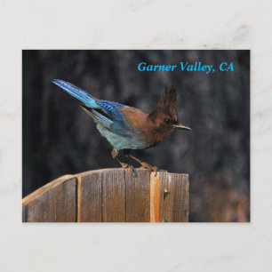 Garner Valley Postcard Postkarte