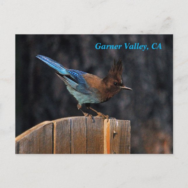 Garner Valley Postcard Postkarte (Vorderseite)