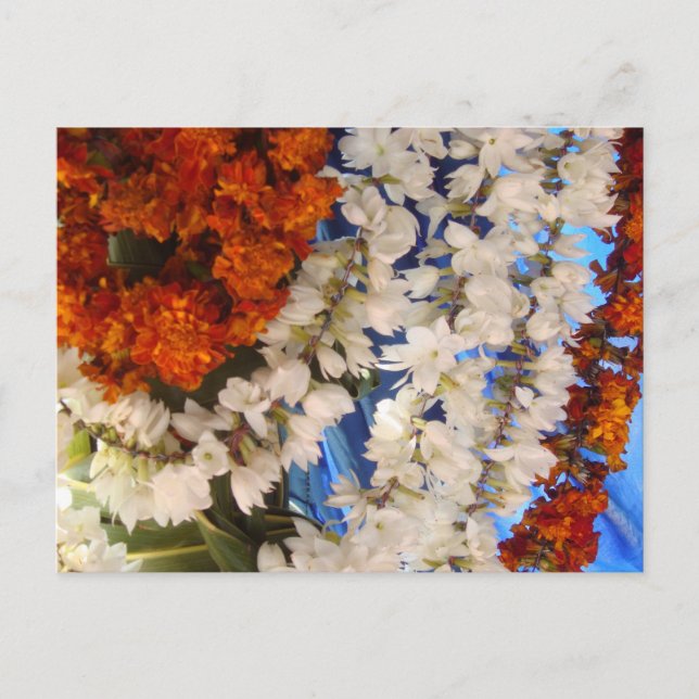 Garnland der indischen Blume Postkarte (Vorderseite)
