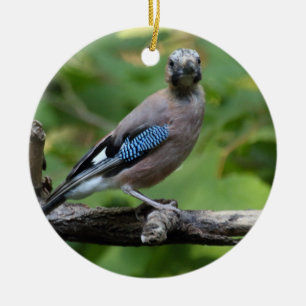 Garrulus glandarius - Eichelhäher Keramik Ornament