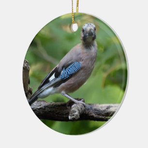 Garrulus glandarius - Eichelhäher Keramikornament
