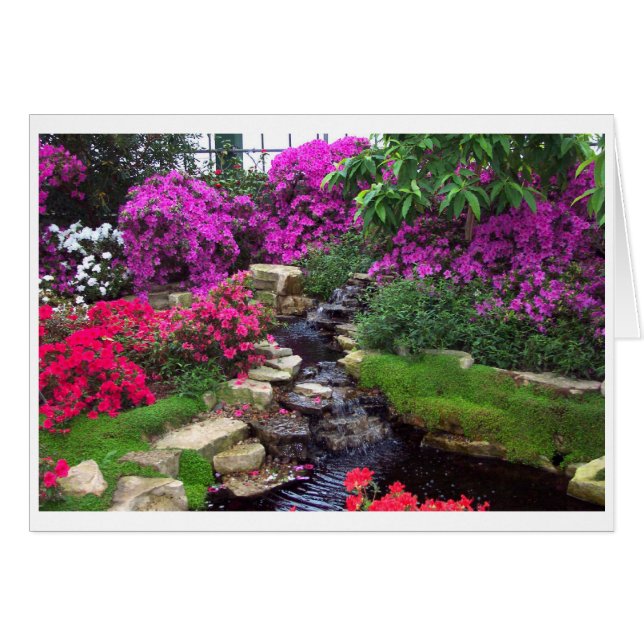 Garten (Vorderseite (Horizontal))