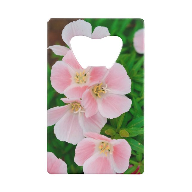 Garten 3 geldkarten flaschenöffner (Vorderseite)