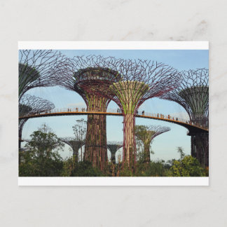 Garten am Golf von Singapur Supertree Grove Postkarte