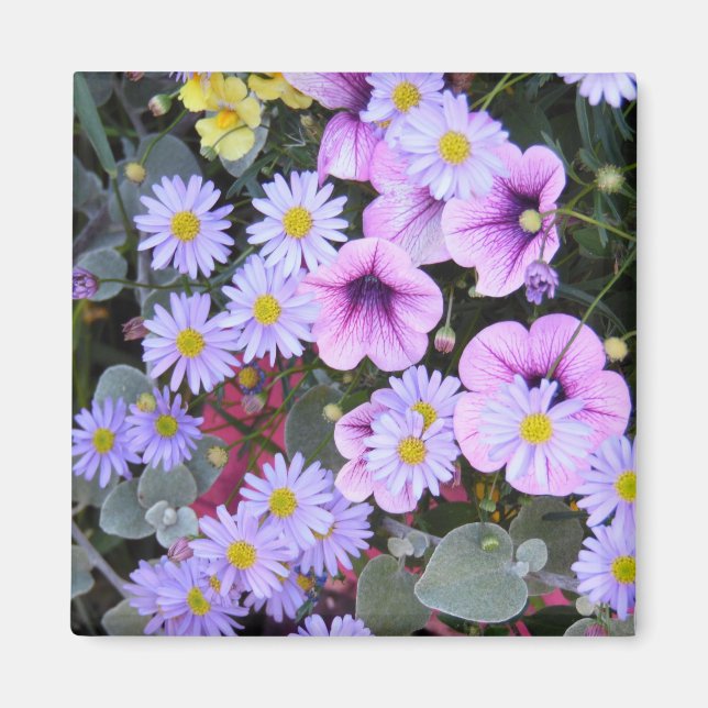 Garten der Blume Magnet (Vorne)