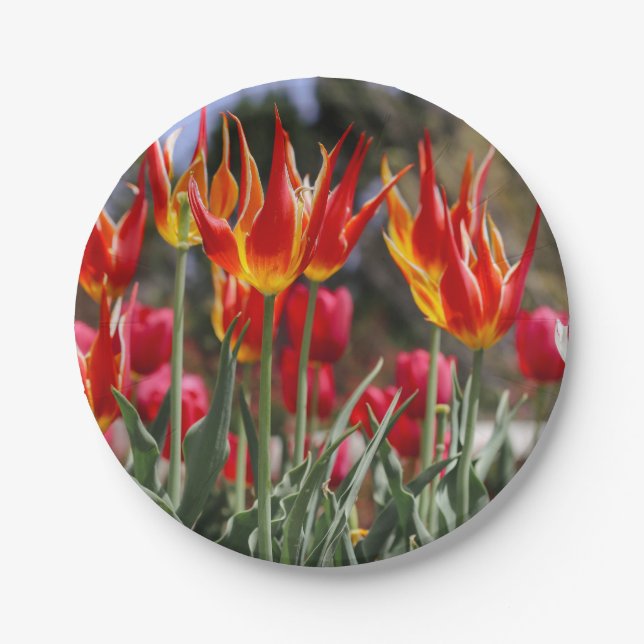 Garten der Flamme Pappteller (Vorderseite)