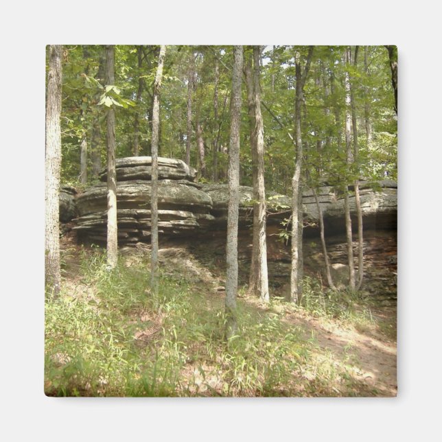 Garten der Götter - Illinois Magnet (Vorne)