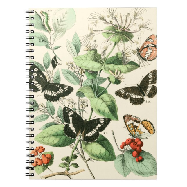 Garten der Schmetterlinge und Blume Notizblock (Vorderseite)
