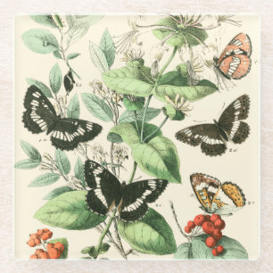 Garten der Schmetterlinge und der Blumen Glasuntersetzer