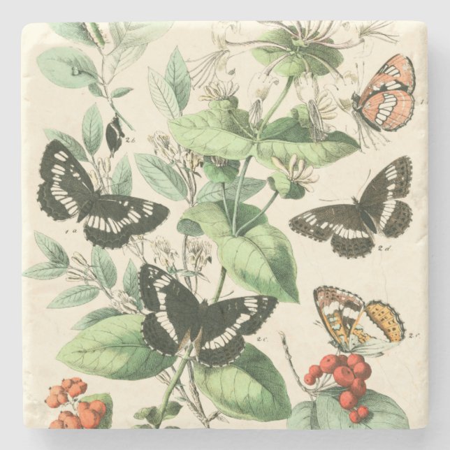 Garten der Schmetterlinge und der Blumen Steinuntersetzer (Vorderseite)