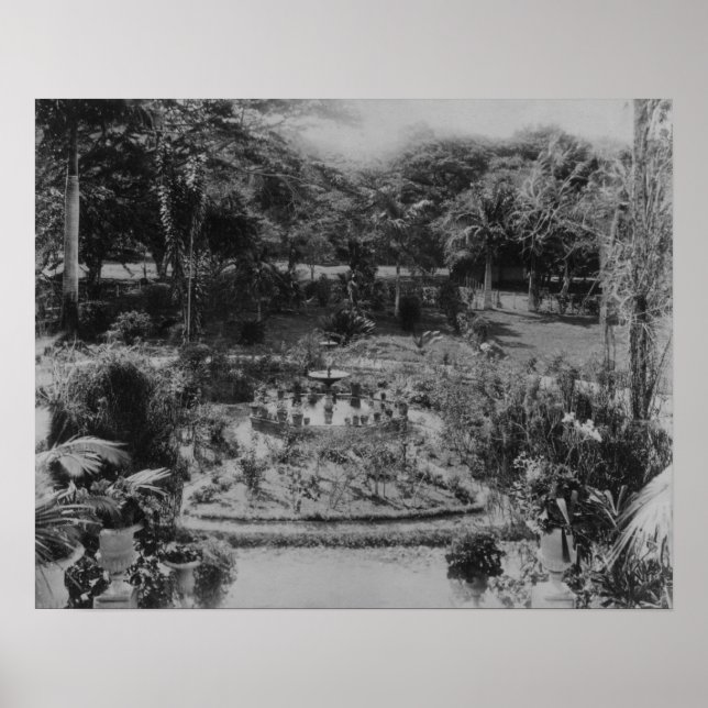 Garten der Villa Poster (Vorne)