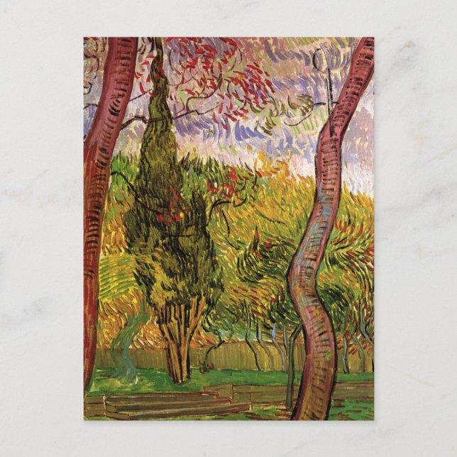 Garten des Heiligen-Paul-Krankenhauses von Vincent Postkarte (Vorderseite)
