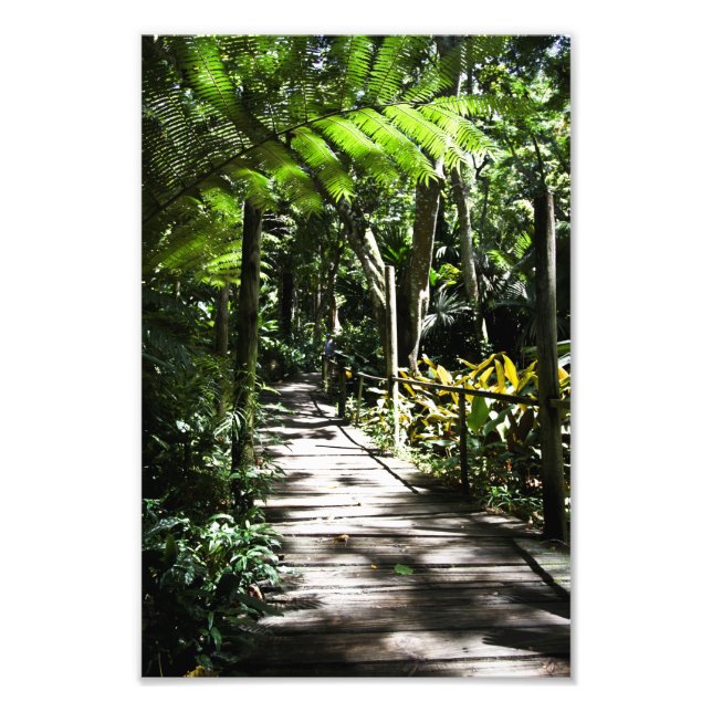 Garten des schlafenden Riesen, Fidschi Fotodruck (Vorne)