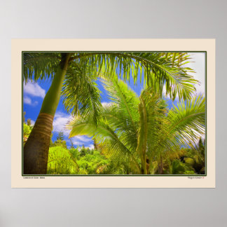 Garten Eden - Palms - Maui Hawaii Poster