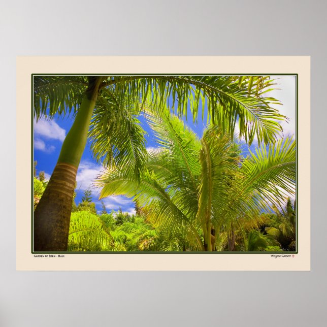 Garten Eden - Palms - Maui Hawaii Poster (Vorne)