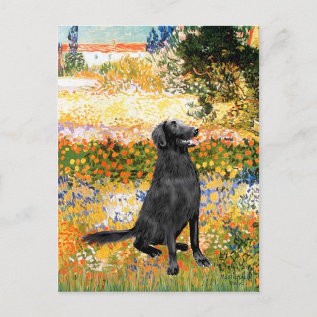 Garten - Flat Coated Retriever Postkarte (Vorderseite)