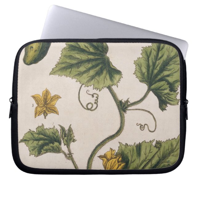 Garten-Gurke, überziehen 4 von "einem neugierigen Laptopschutzhülle (Vorderseite)