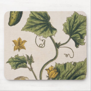 Garten-Gurke, überziehen 4 von "einem neugierigen Mousepad