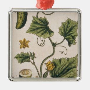 Garten-Gurke, überziehen 4 von "einem neugierigen Silbernes Ornament