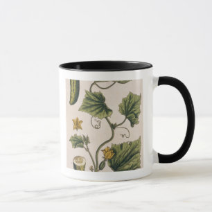 Garten-Gurke, überziehen 4 von "einem neugierigen Tasse
